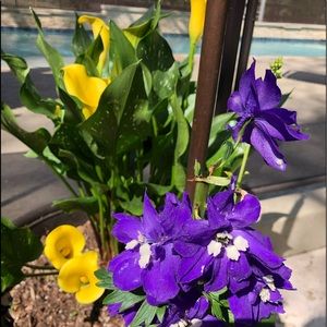 Meet your Posher, Marsha